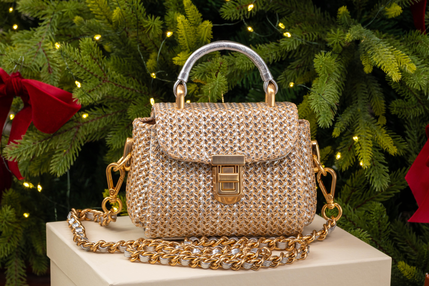 Bolsa Cora Micro Prata