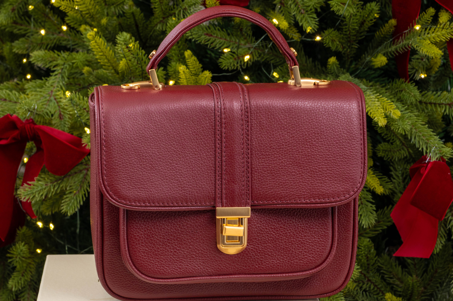 Bolsa Soraia Mini Bordô